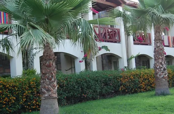 Tiana Тургутрейс