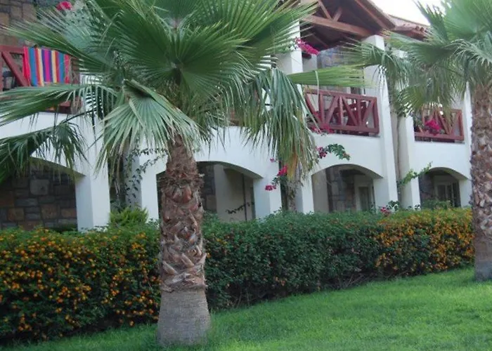 Hotel Tiana 4*