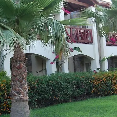 Tiana トゥルグトレイス